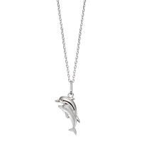 Collar con colgante Plata delfín 38-40 cm