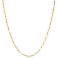 Collar Oro amarillo de 375/9K 40-42 cm-577308