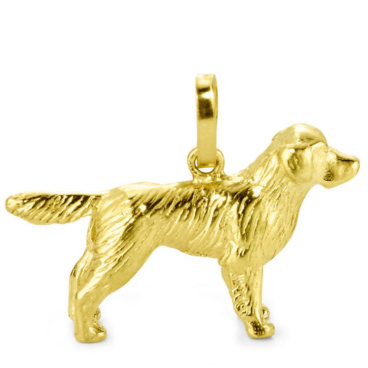 Colgante 750/oro amarillo de 18 quilates perro perdiguero de oro